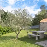 Casas D'oliva Caramulo