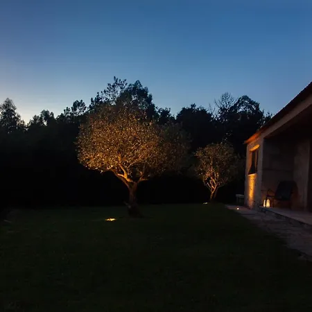 Casas D'oliva