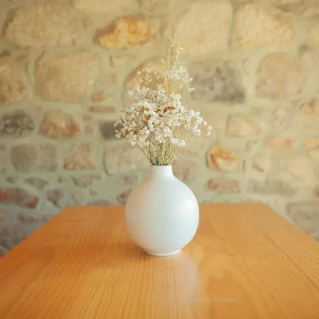 Apartament Casas D'oliva *