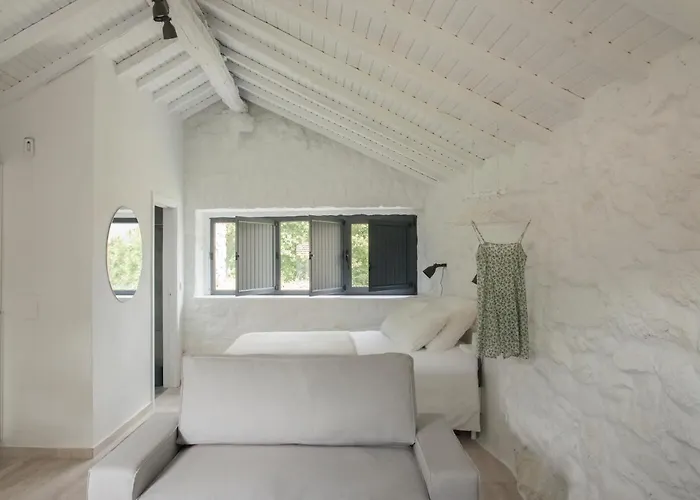 Casas D'oliva Caramulo